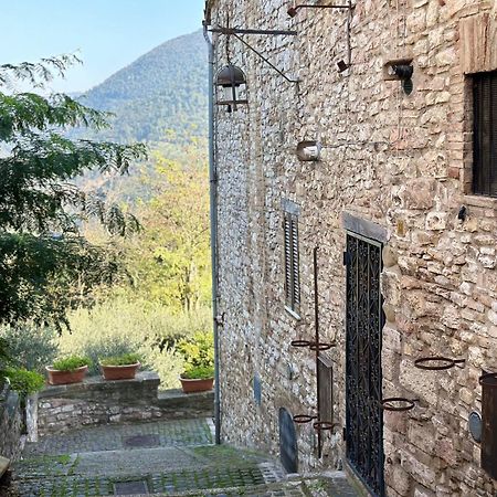 La Perla Di Tamara-Assisi Blu Apartment Екстериор снимка