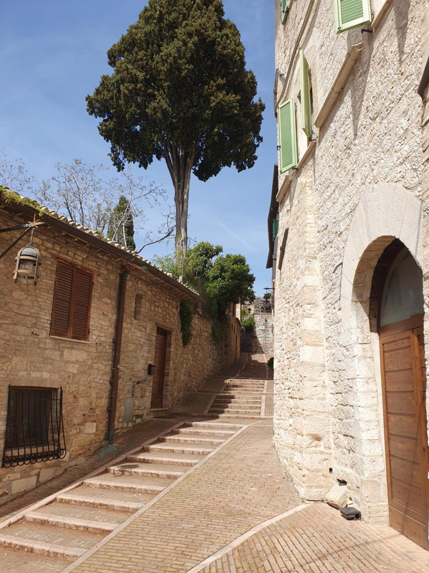 La Perla Di Tamara-Assisi Blu Apartment Екстериор снимка